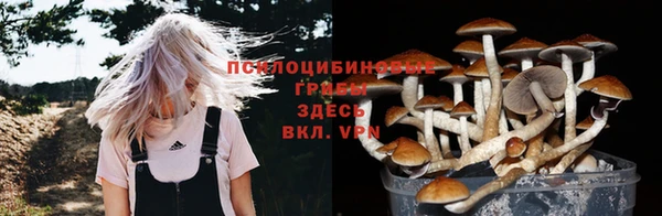 герыч Алексеевка