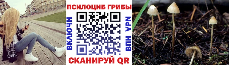 kraken вход Анапа Галлюциногенные грибы MAGIC MUSHROOMS